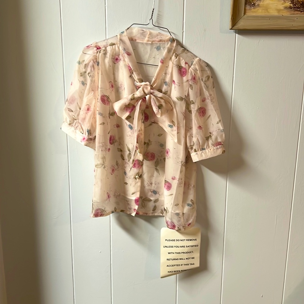 Sheer Blouse with Bow